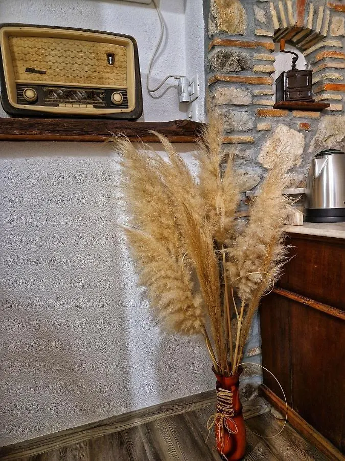 Sweet Room With A Terrace Roč
